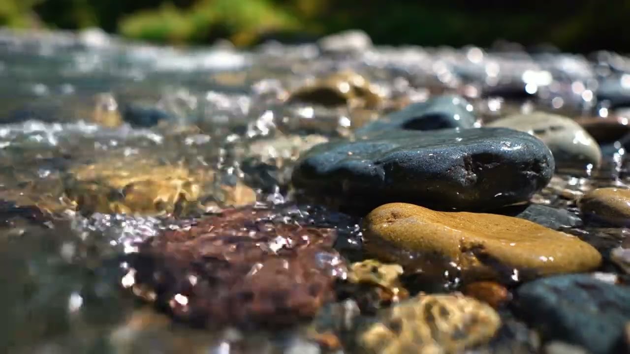 I Spent 30 Days Listening to NATURE SOUNDS for Sleep and Focus Here's What Happened