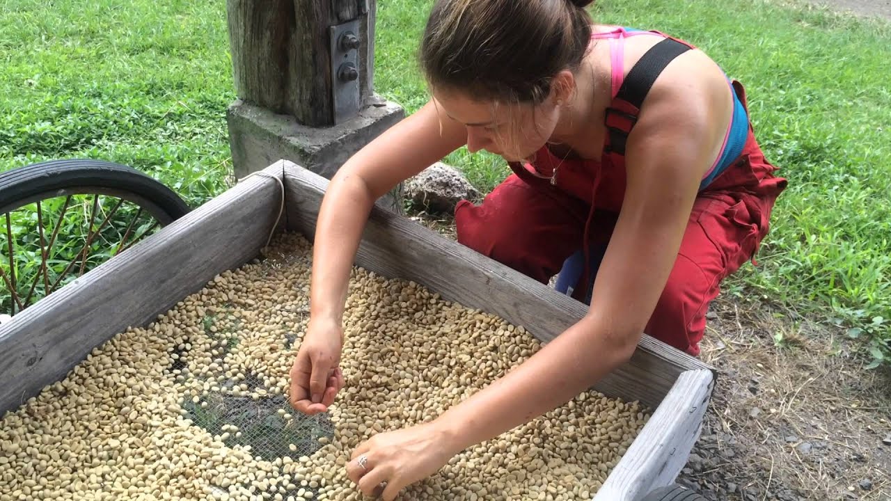 ONOOrganicCoffee