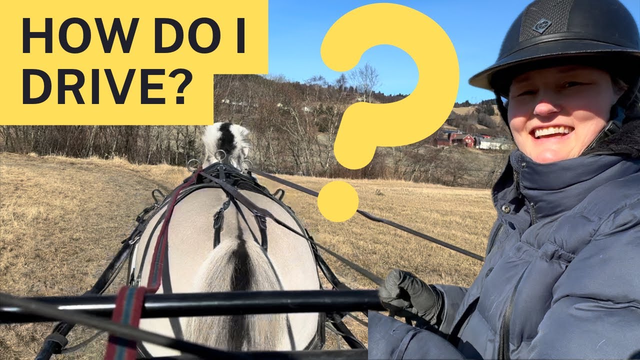 Driving skills tips : How to Steer a Horse