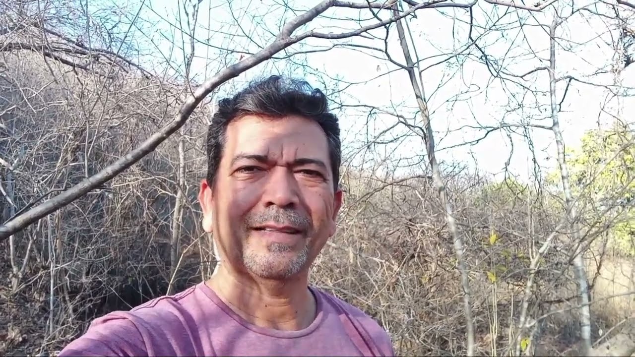 Mostrando as matas da Caatinga, um cenário de vida ne aridez.
