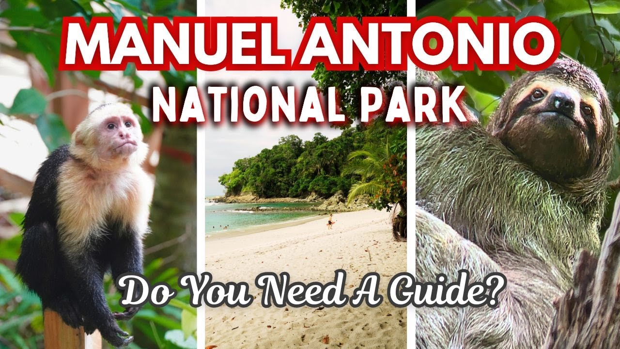 Do You Need A Guide For Manuel Antonio National Park, Costa Rica? (Planning Guide)