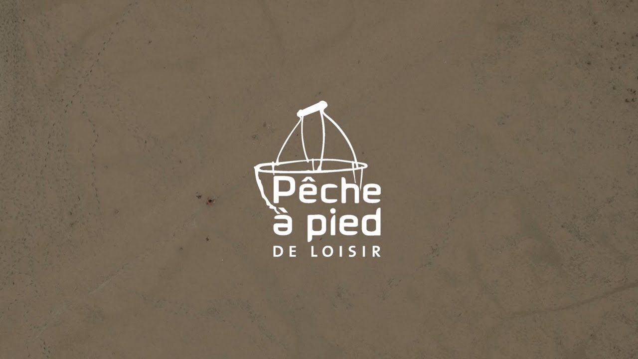 Quelques bonnes pratiques de pêche à pied : la palourde