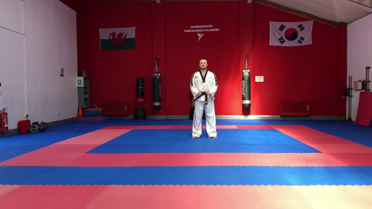 Blue Stripe (5th Kup) Grading Floorwork