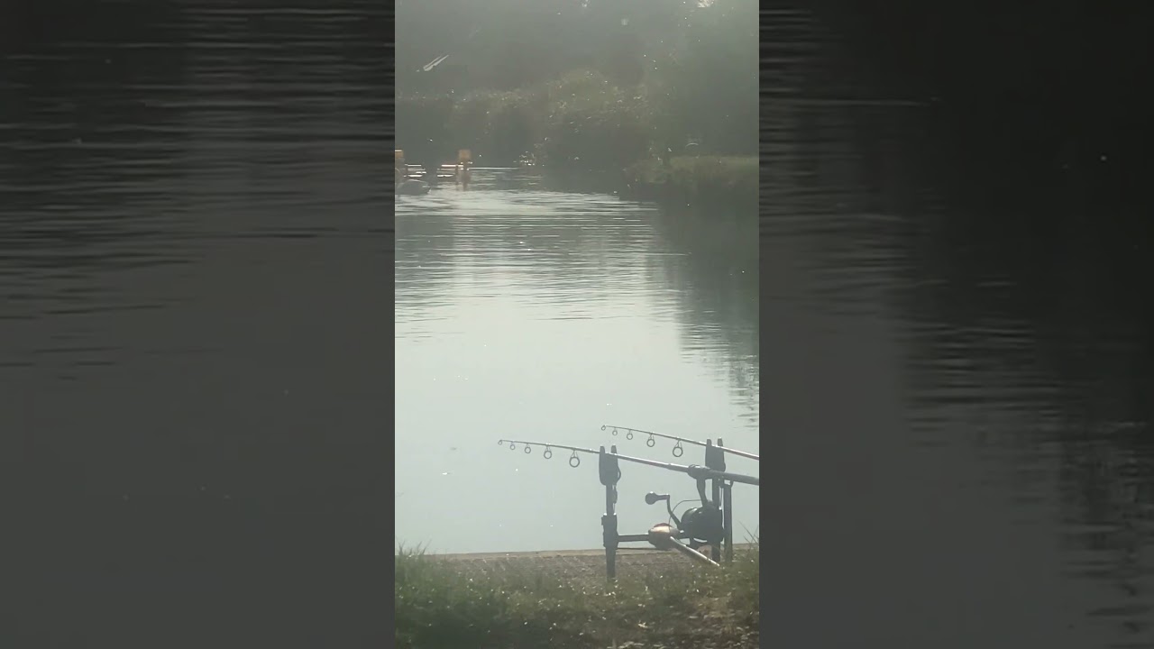 Wish I was here #bankside #carpfishing