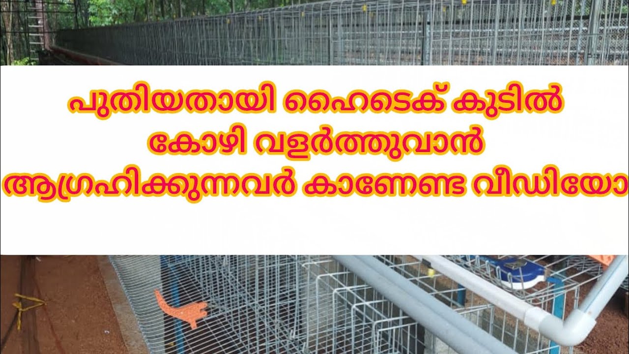 നഷ്ട്ടം ഇല്ലാതെ കോഴി ഫാം നമ്മുക്ക് സെറ്റ് ആക്കാം 👍