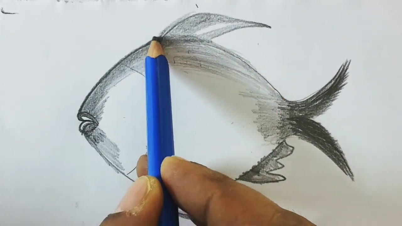 fish drawing how to draw fish  from rupchanda easy drawing beginniers 