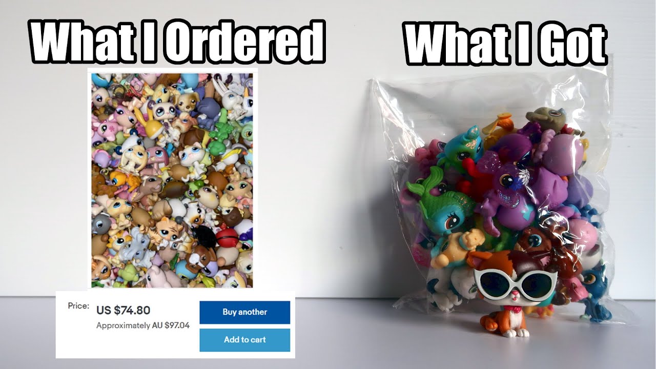 The LPS Seller that scammed & stole from me...