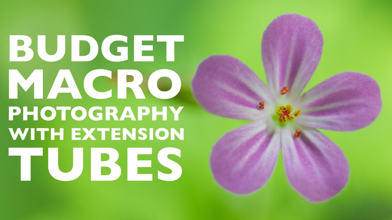 Extension Tubes for Macro Photography