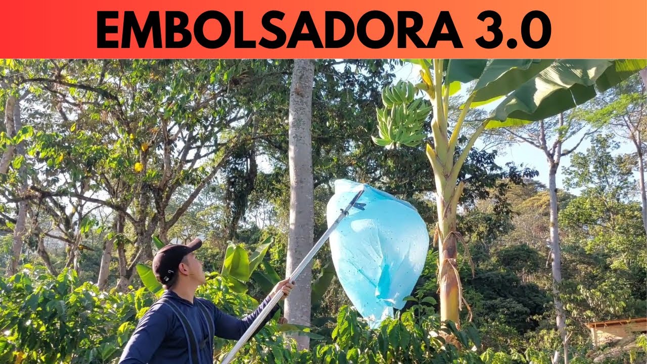 Embolsadora 3.0 para embolsar racimos de platano y banano.