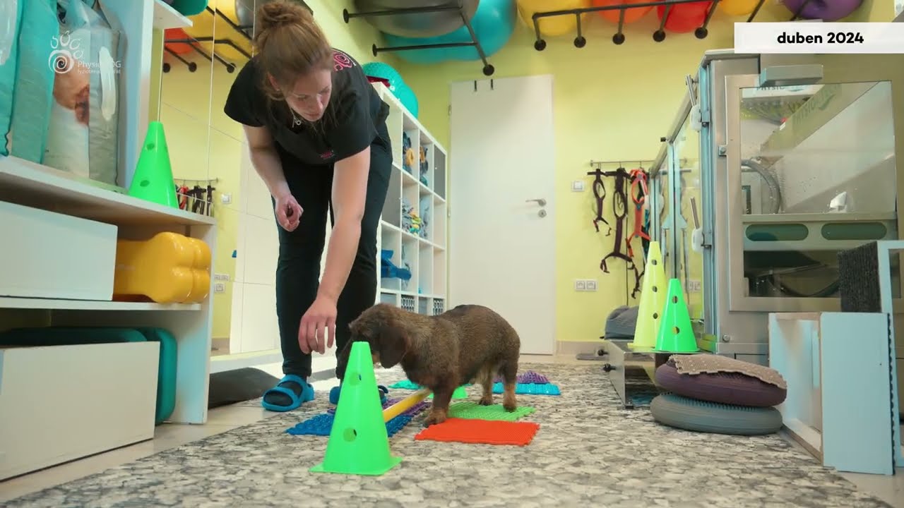 PhysioDog - ochrnutá Cherry - rozdíl po 3 měsících