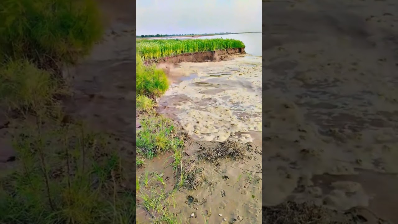 Floods that destroyed everything | Disasters #viral #trending #floods #flood #Disaster #nature