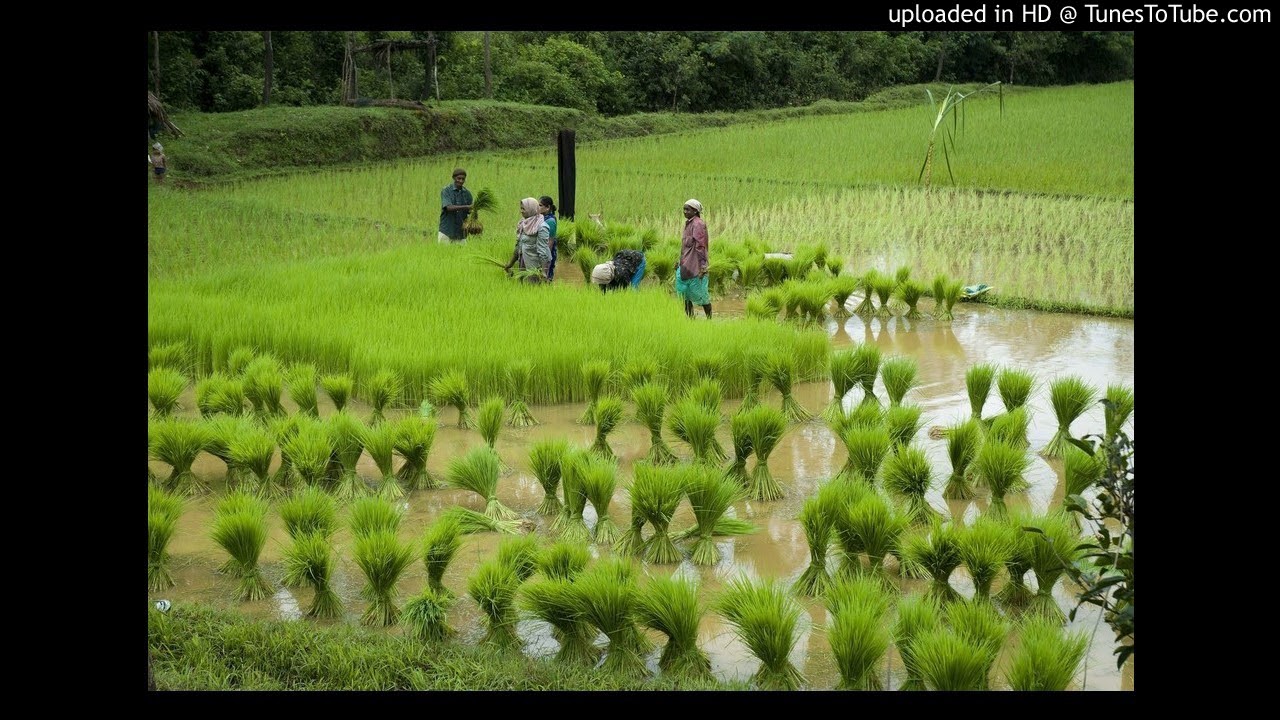 Mundakan Koythinu Poye.....(Preetha Madhu)