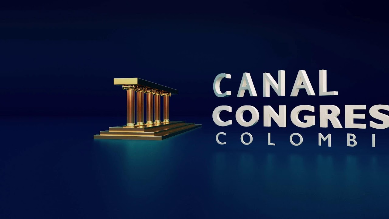 COMISI&Oacute;N LEGAL AFRO - CONTROL POL&Iacute;TICO - NOVIEMBRE 13 DE 2025