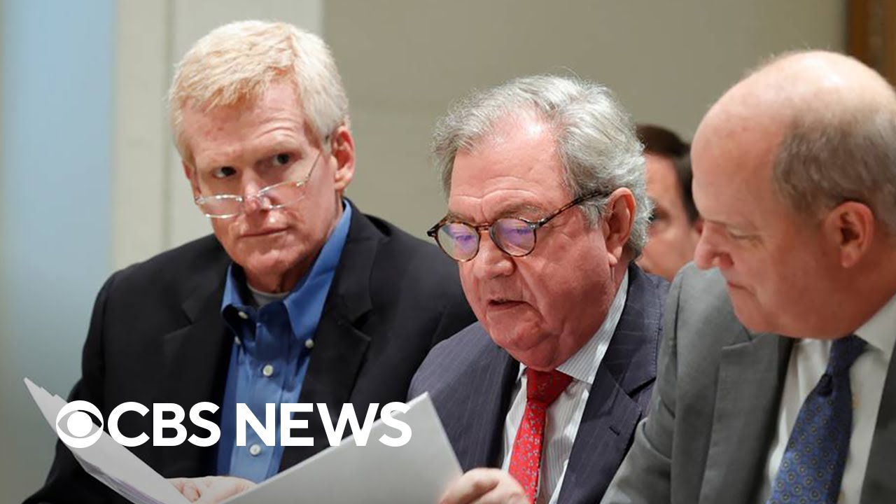 Alex Murdaugh's murder trial continues with witness testimony | Day 2