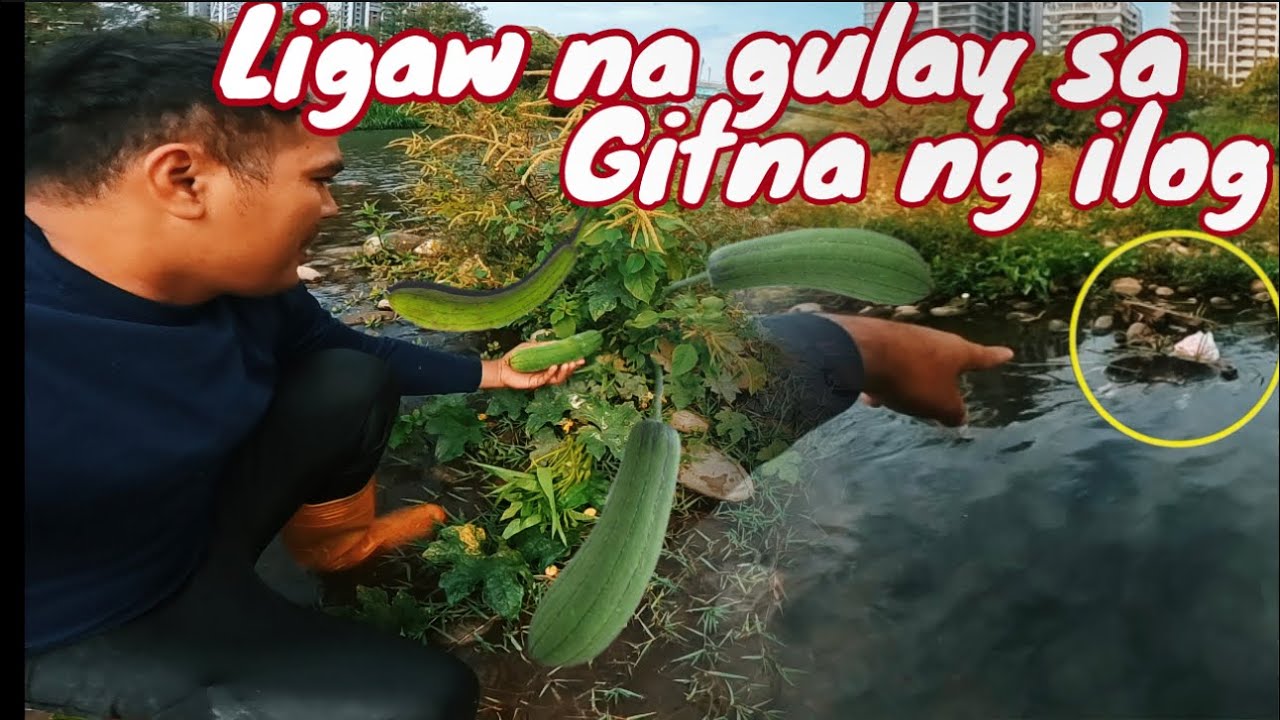  Tumayo balahibo ko?pinat4y at itinapon lang dito sa ilog ng taiwan!kawawa naman!