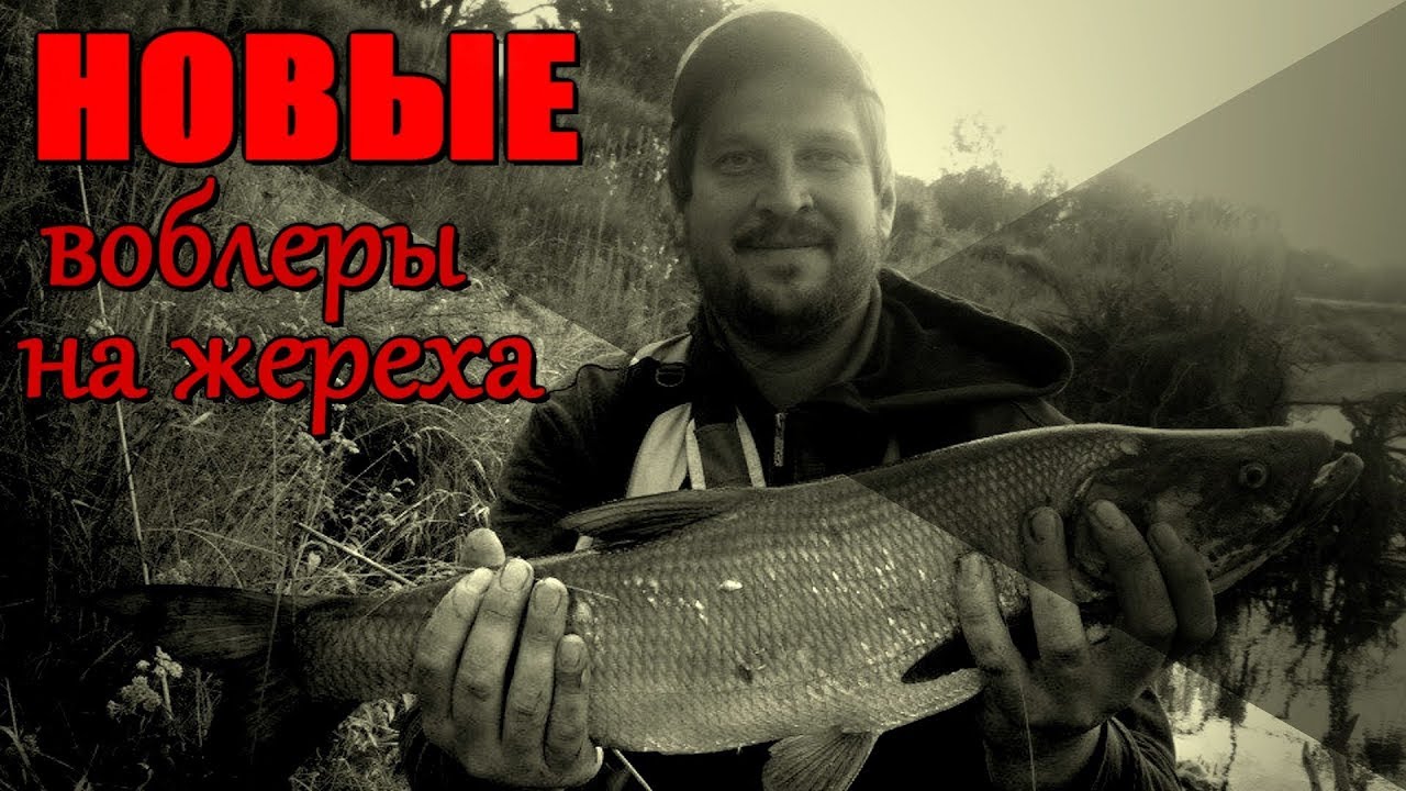 НОВЫЕ ВОБЛЕРЫ НА ЖЕРЕХА - ЯПОНСКИЕ И НЕ ТОЛЬКО! Пополнение арсенала в конце сезона!