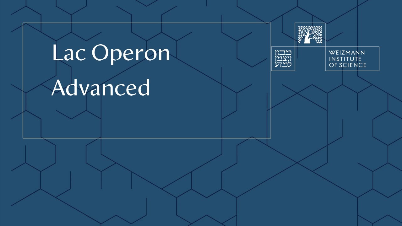 Lac Operon Advanced