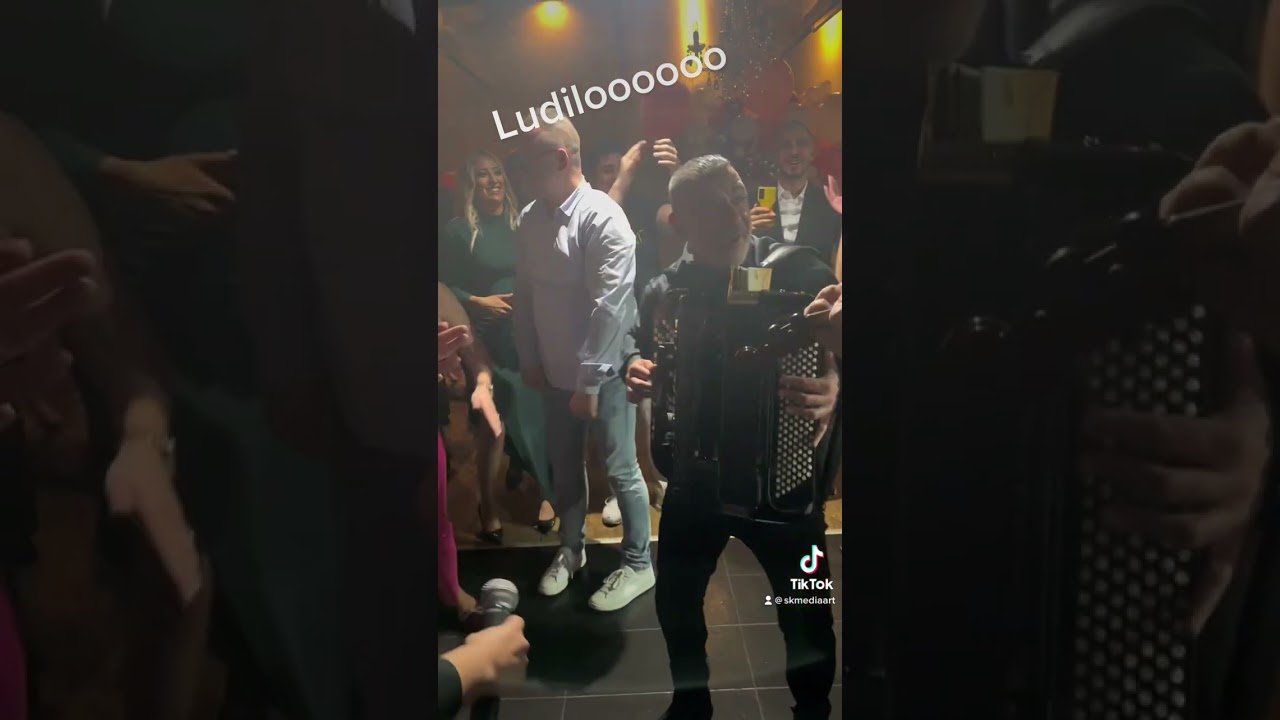 Ludilooo #srbija #bosna #hrvatska #crnagora #veselje #harmonika #bosnaihercegovina #srbija