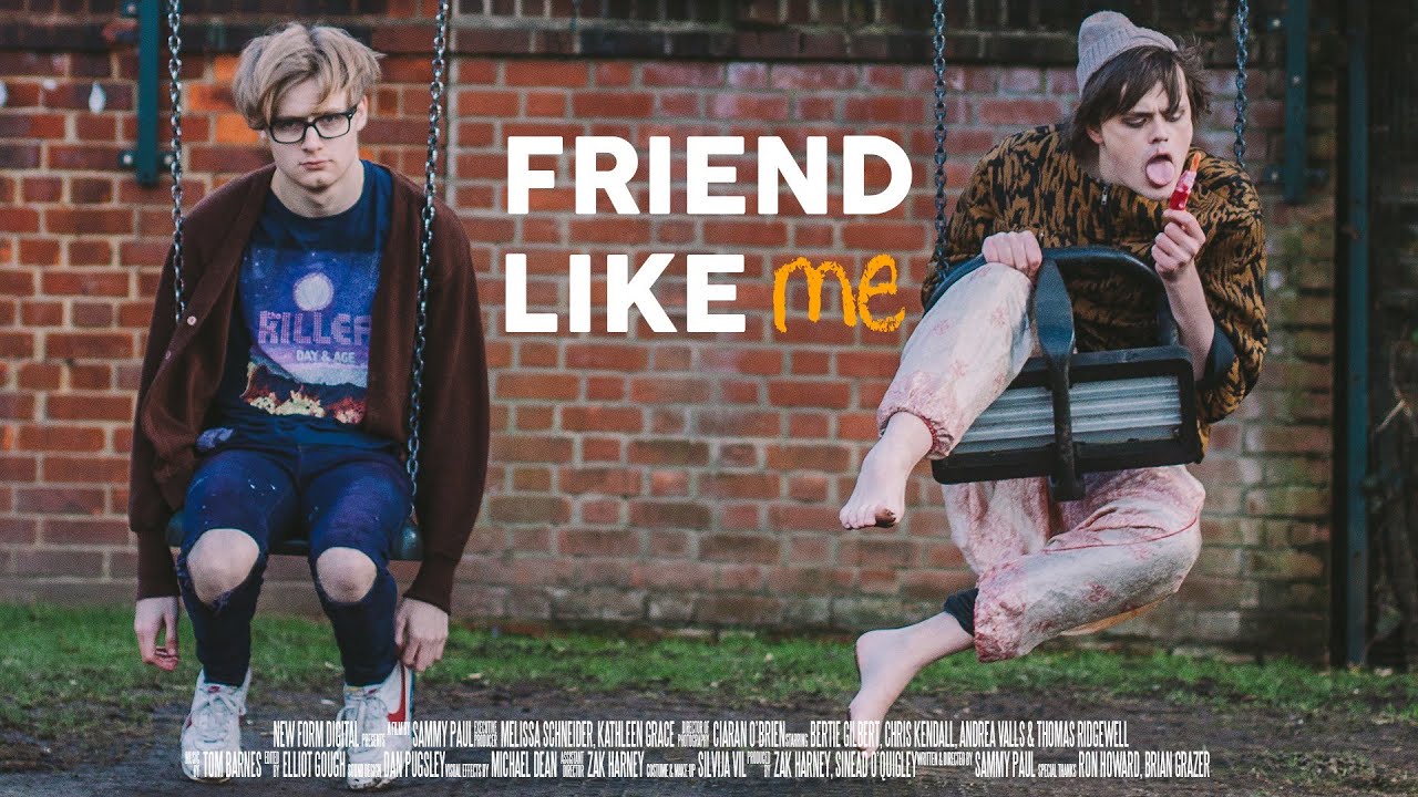 FRIEND LIKE ME
