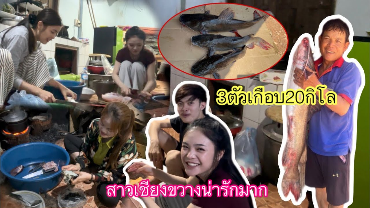 พ่อได้ปลาตัวใหญ่อีกแล้วมาช่วยน้าสะใภ้เตรียมอาหารพรุ่งนี้เป็นงานบุญพระเวสนั่งคุยกับสาวเชียงขวาง