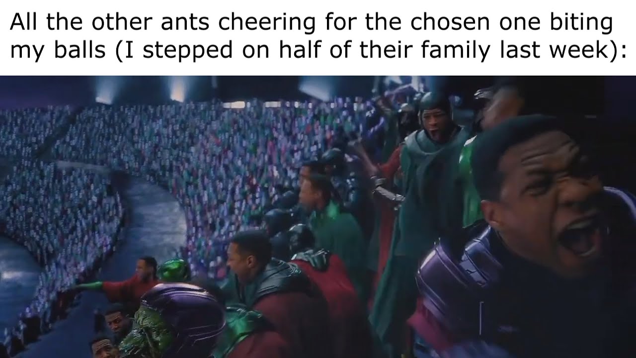 Kang Council Meme Compilation #3