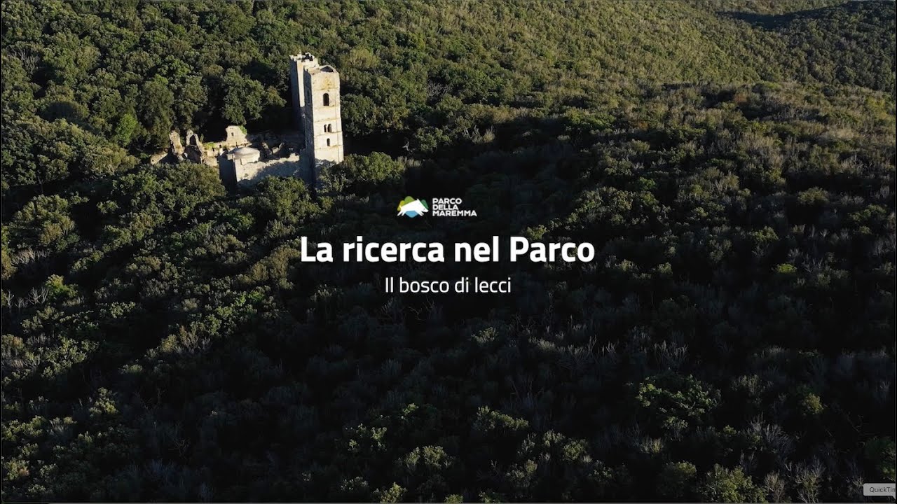 La ricerca nel Parco: la lecceta