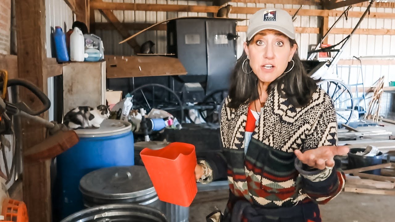 How we feed our FARM ANIMALS | OFF GRID - LOG CABIN