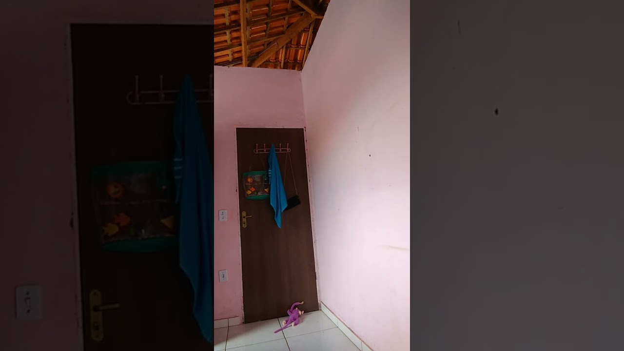 Minha irmã