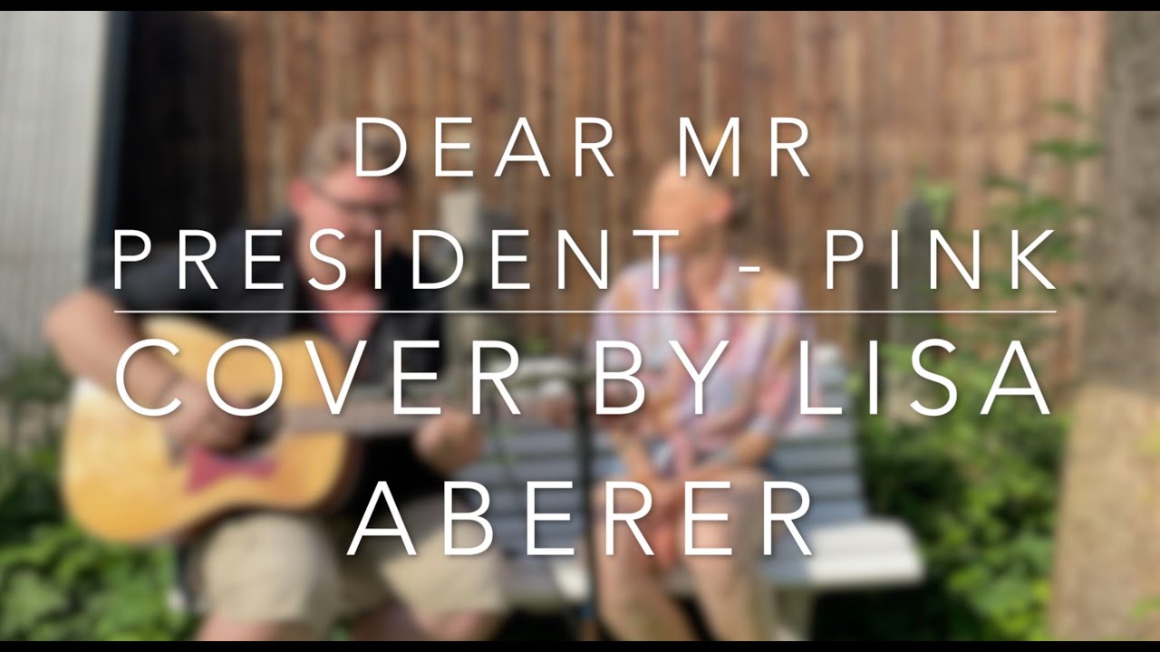 Dear Mr. President - Pink (Acousticcover by Lisa Aberer)