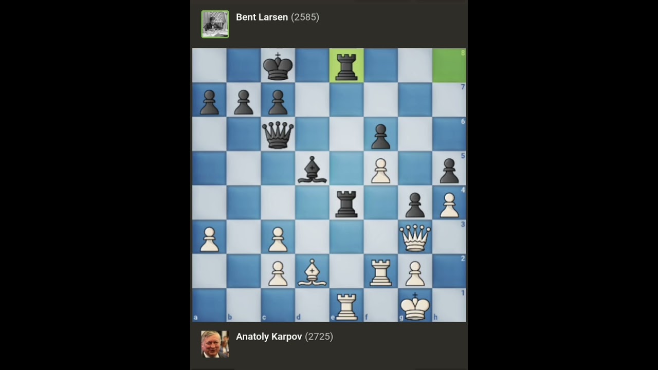 Anatoly Karpov vs Bent Larsen √ It (Cat.15) • Tilburg - Netherlands (1980)
