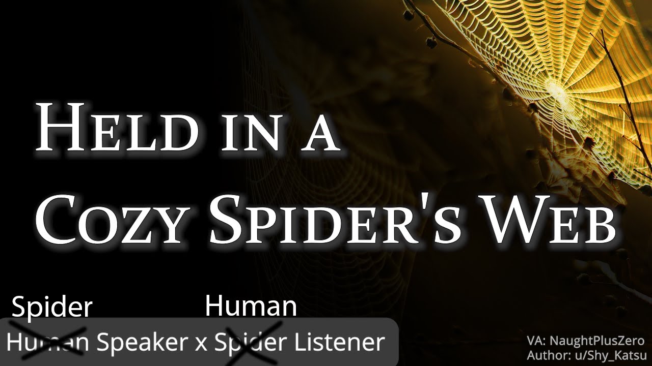 Held in a Cozy Spider's Web [M4A] [Relaxation] [Willingly Held Captive] [Platonic] [Sleep Aid]