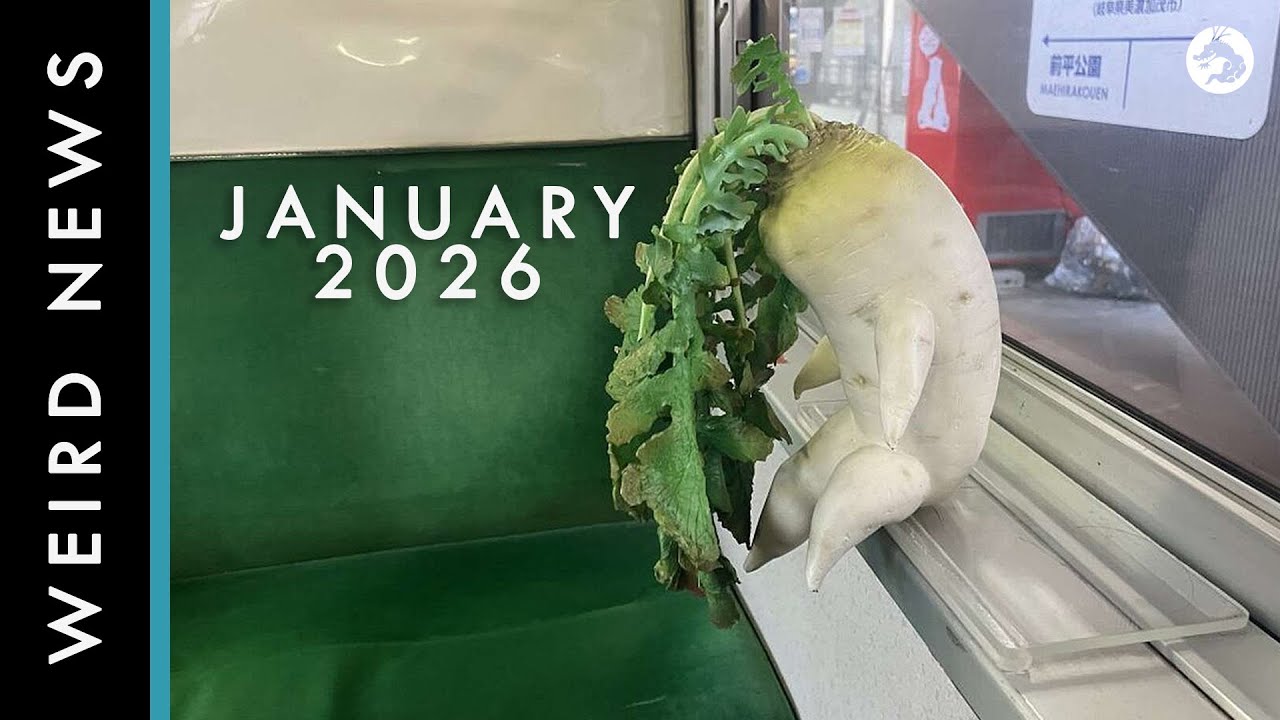 Weird, Bizarre, and Scary News From Japan January 2026