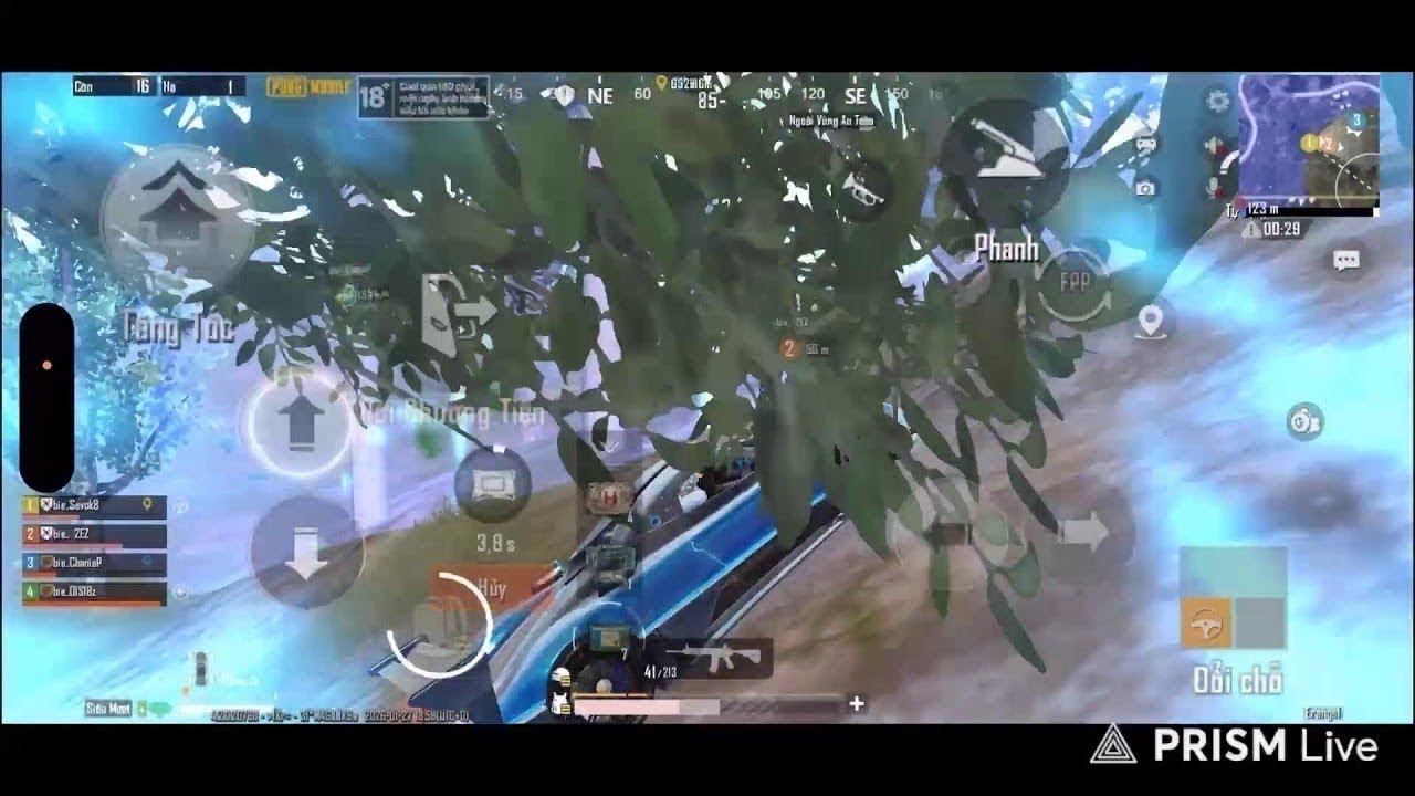 BD BOT