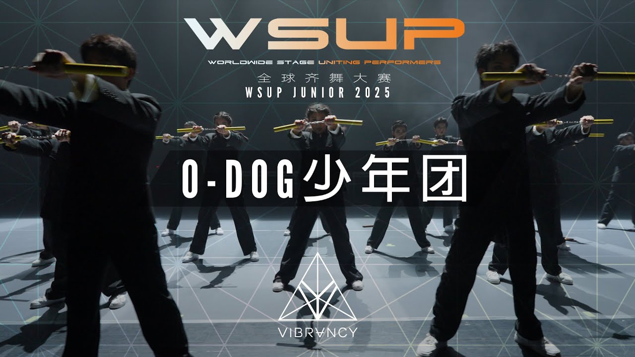 ODog Kids | WSUP Junior Dance Comp 2025 [@VIBRVNCY 4K]