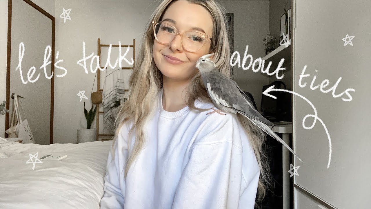 COCKATIEL GENDER, MUTATIONS, HORMONES?