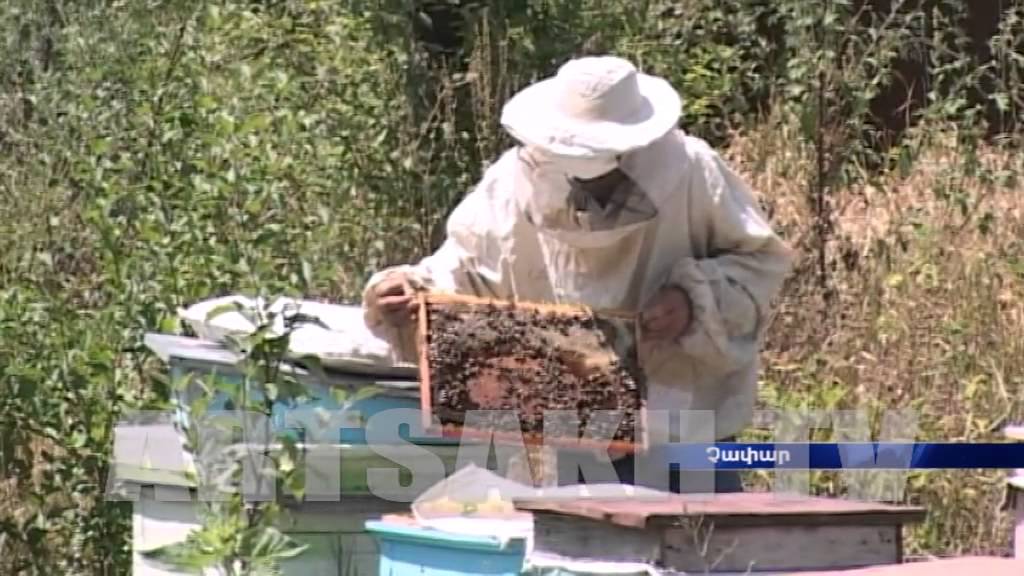 Գյուղատնտեսական եռուն աշխատանքները Մարտակերտի շրջանի Չափար գյուղում
