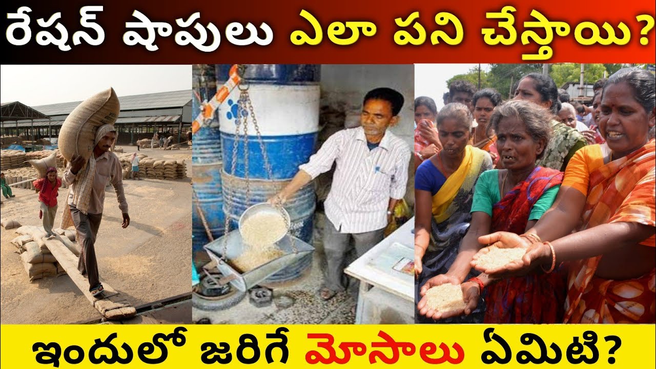 How Ration Shops Work in India Explained in Telugu | How Ration Shop Work | Telugu Pedia