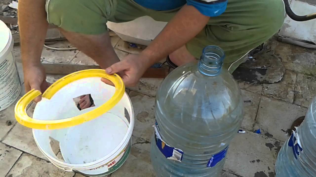 عمل مسقة للطيور