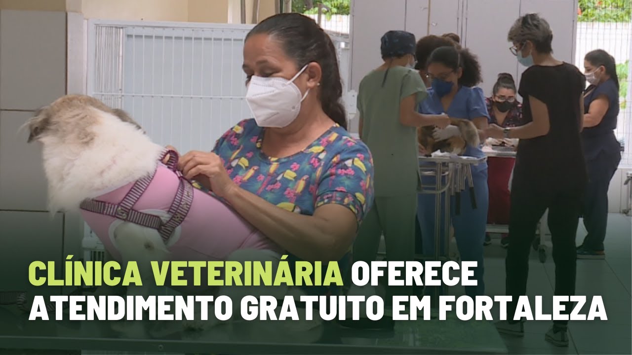Clínica veterinária oferece atendimento gratuito em Fortaleza