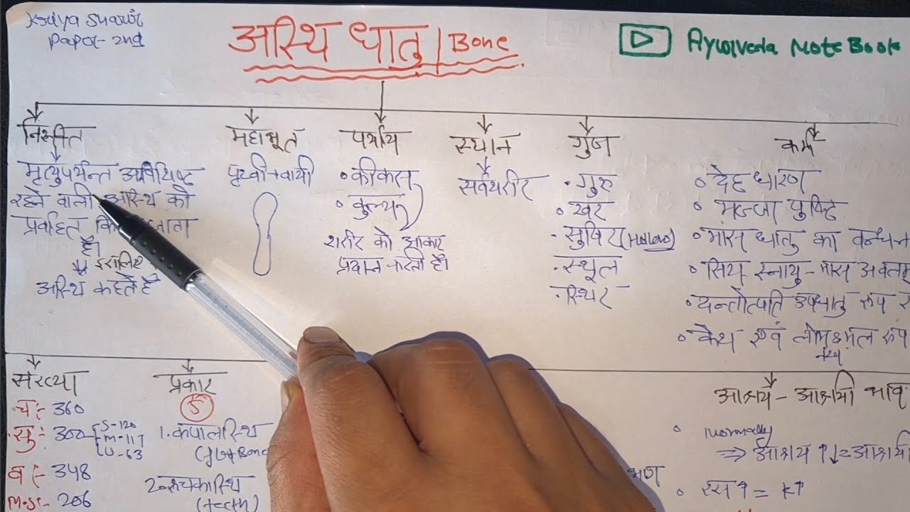 Asthi dhatu bams 1st year | asthi dhatu in kriya sharir | asthi sharir in ayurveda | #kriyasharir