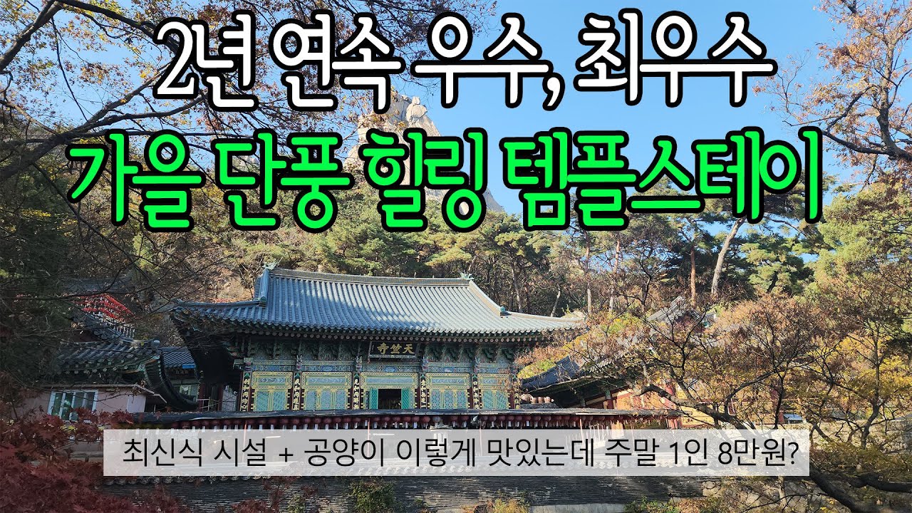 최우수 서울 템플스테이 1박 2일 단풍 저속 노화 사찰 여행 I 도봉산 천축사 I 불교 사찰 음식 맛집 I Temple stay
