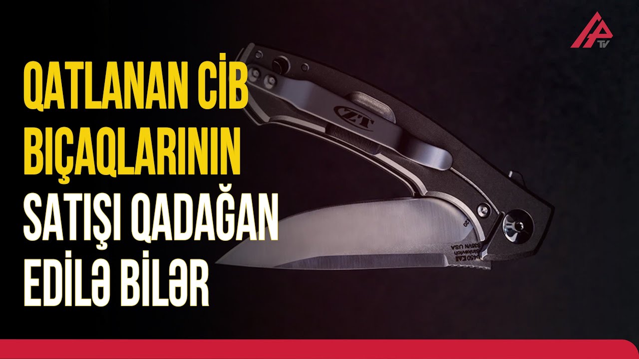 Yeniyetmələri cinayətə sürükləyən nədir? | APA  TV
