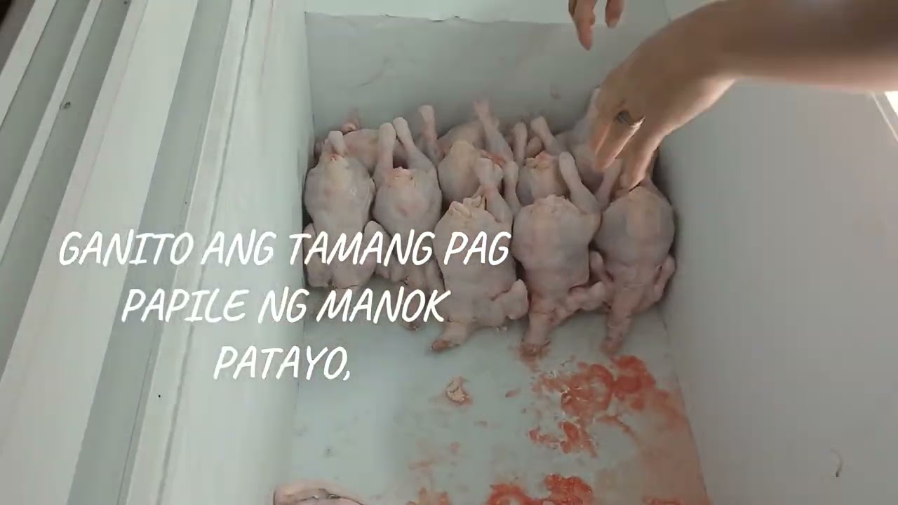 TAMANG PARAAN SA PAG IIMBAK NG DRESS CHECKIN SA FREEZER. #TIPS2