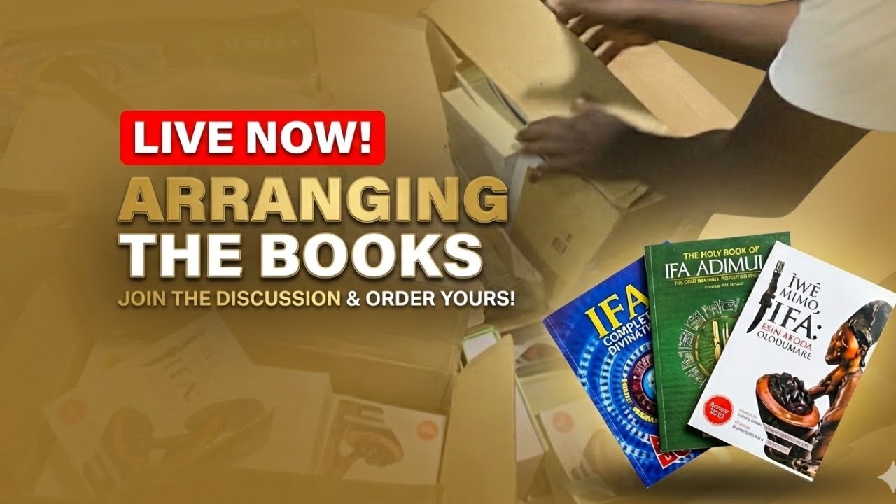 Which Ifa Book Do You Need? Live Restock & Review