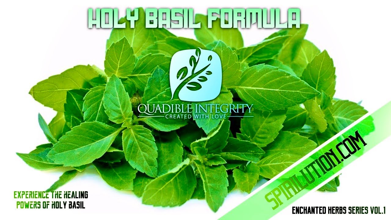 (Healing Music) ★Holy Basil (Tulsi) Healing Formula ★ Quadible Integrity (Enchanted Herbs Vol 1.)