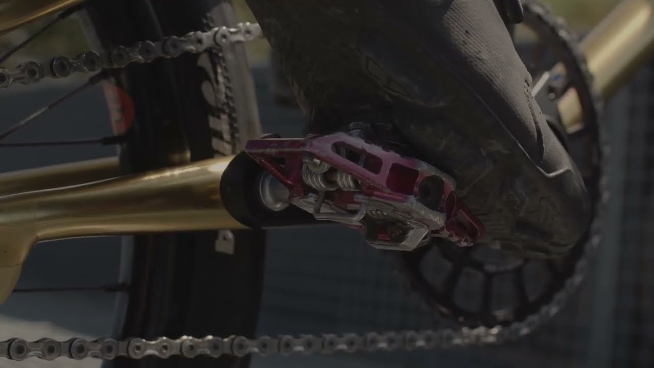 Introducing the Neo Retro