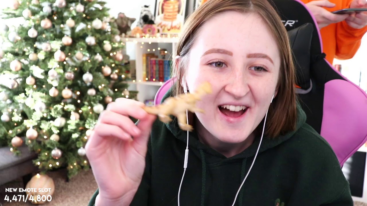 Finishing Renovations for the Simsie Save (Streamed 12/6/19)