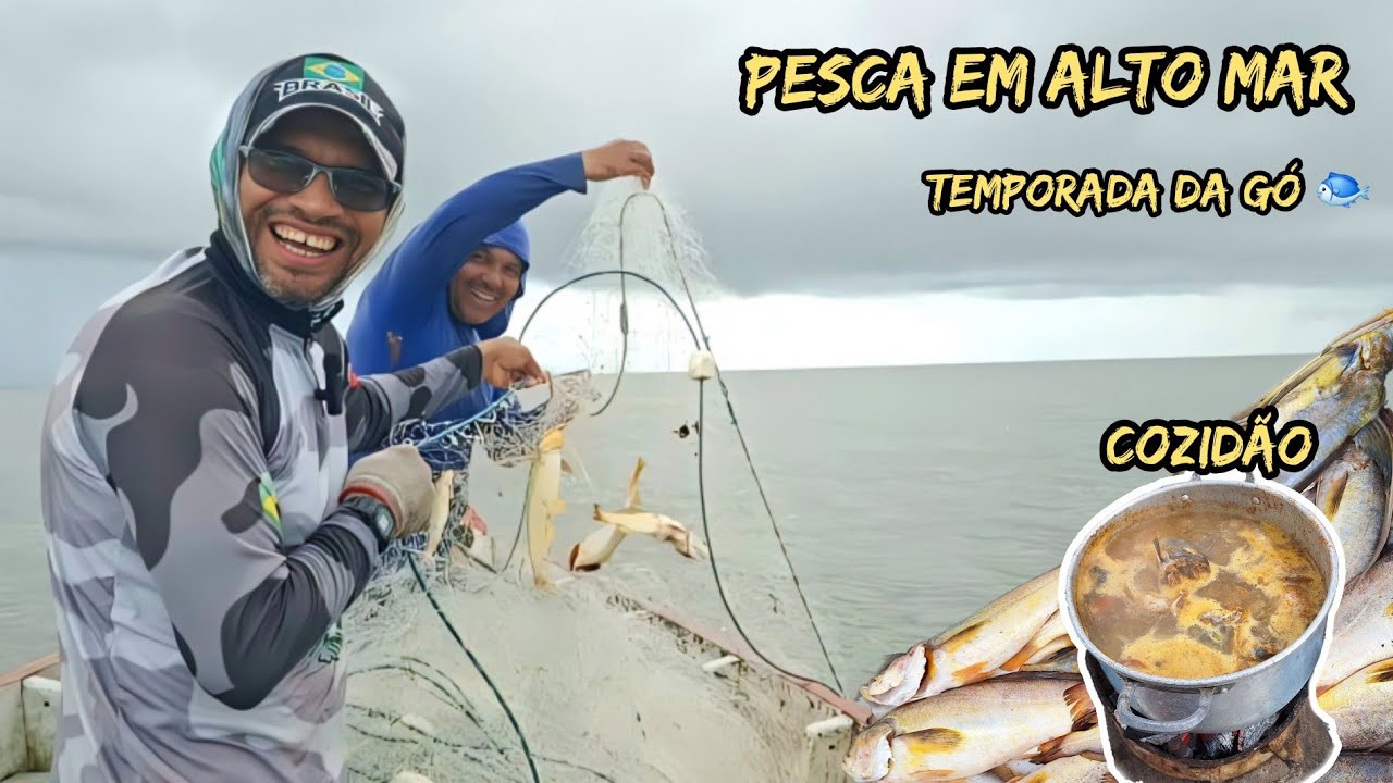 FARTURA CHEGOU🙏pesca em alto mar de  rede 🐟 Muita gó pescadinha. #aventura #fish #viral #pesca