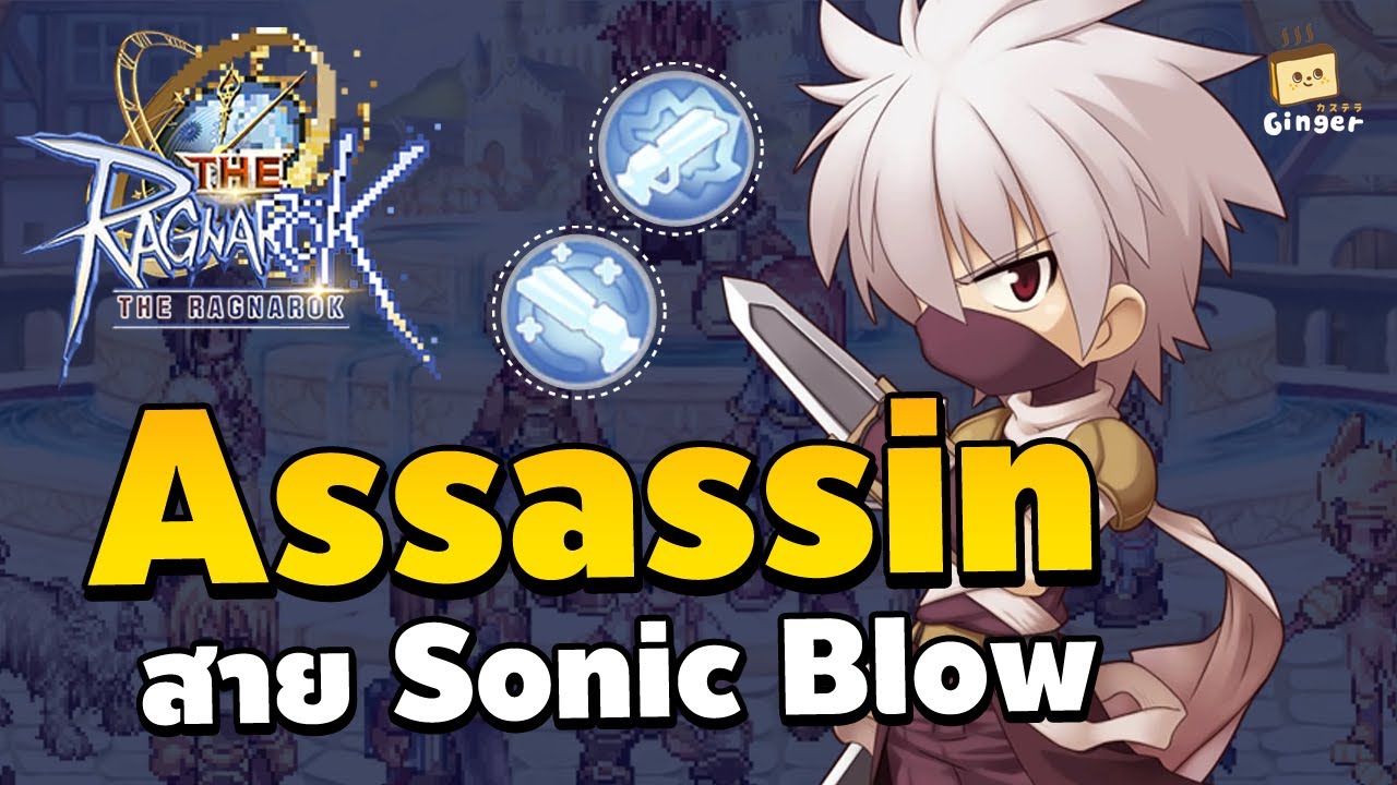 แนวทางการเล่น Assassin สาย Sonic Blow - Stat Skill Card | The Ragnarok