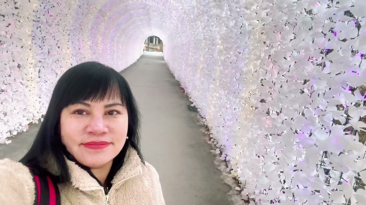 Freezing cold winter day at Garden of the Morning Calm #travelvlog #morningcalm 
